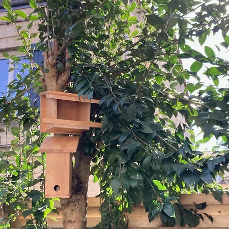 Dans Un Avec Jardin